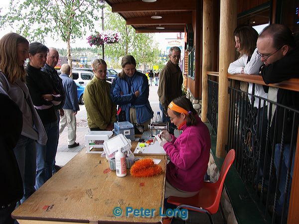pict6785.jpg