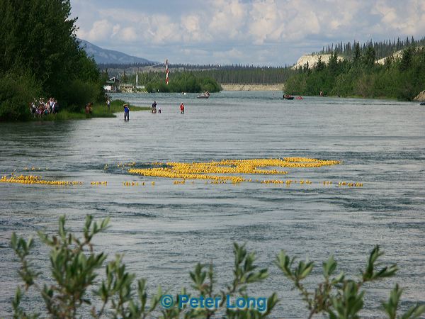 pict2663.jpg