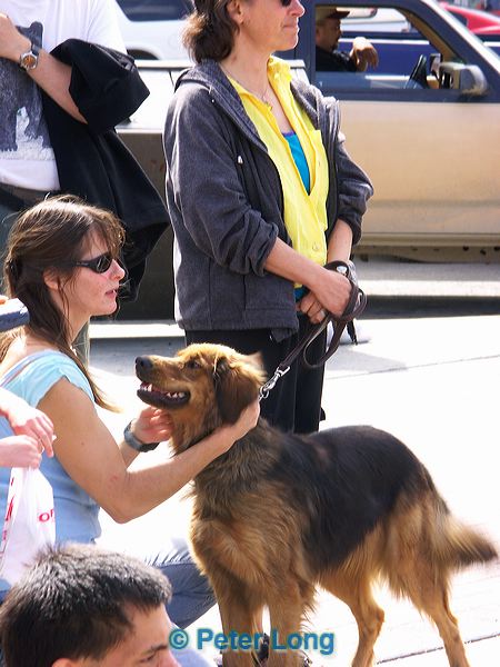 pict4555.jpg